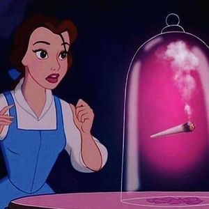 Meet your Posher, Judy